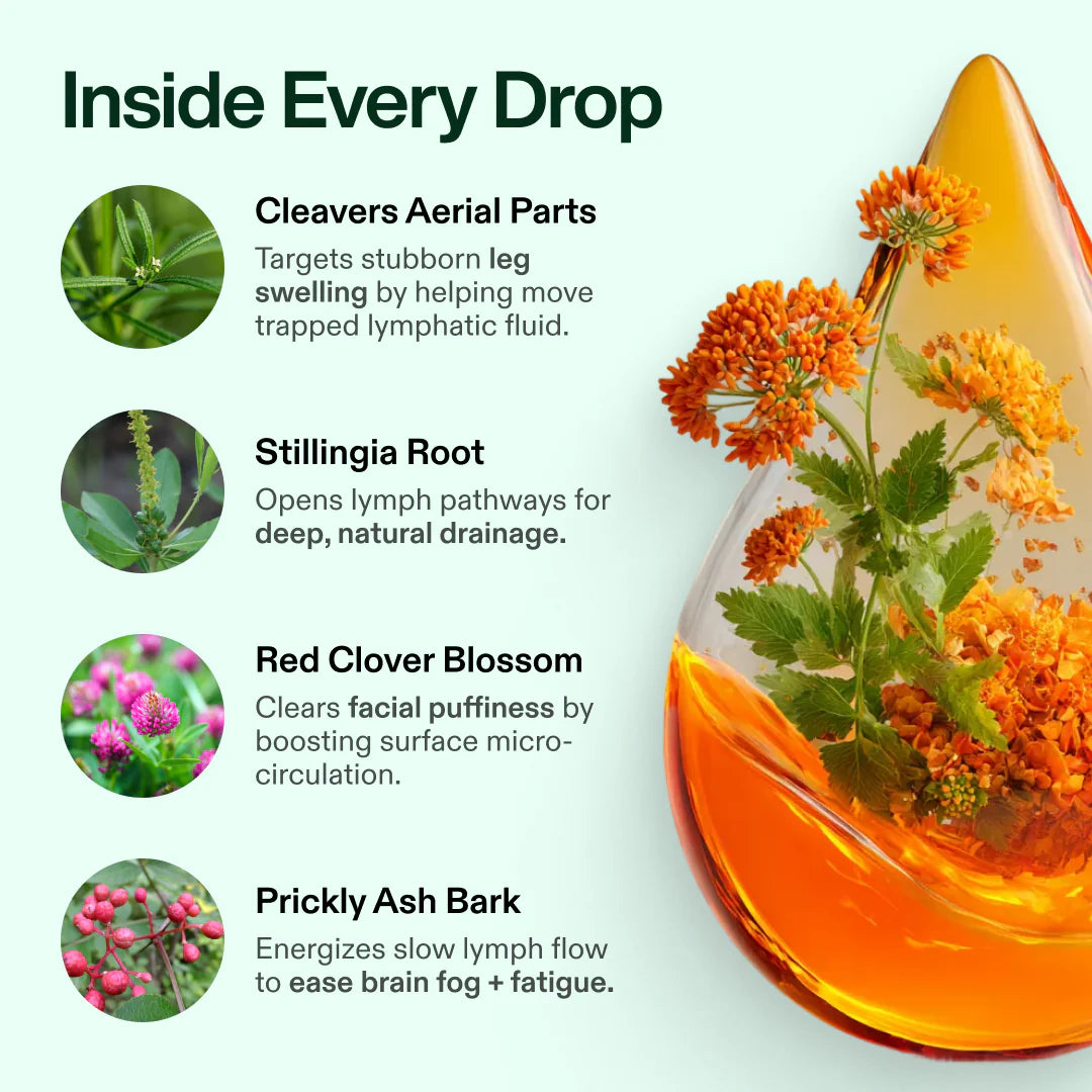 Lymvéro Lymphatic Drainage Drops