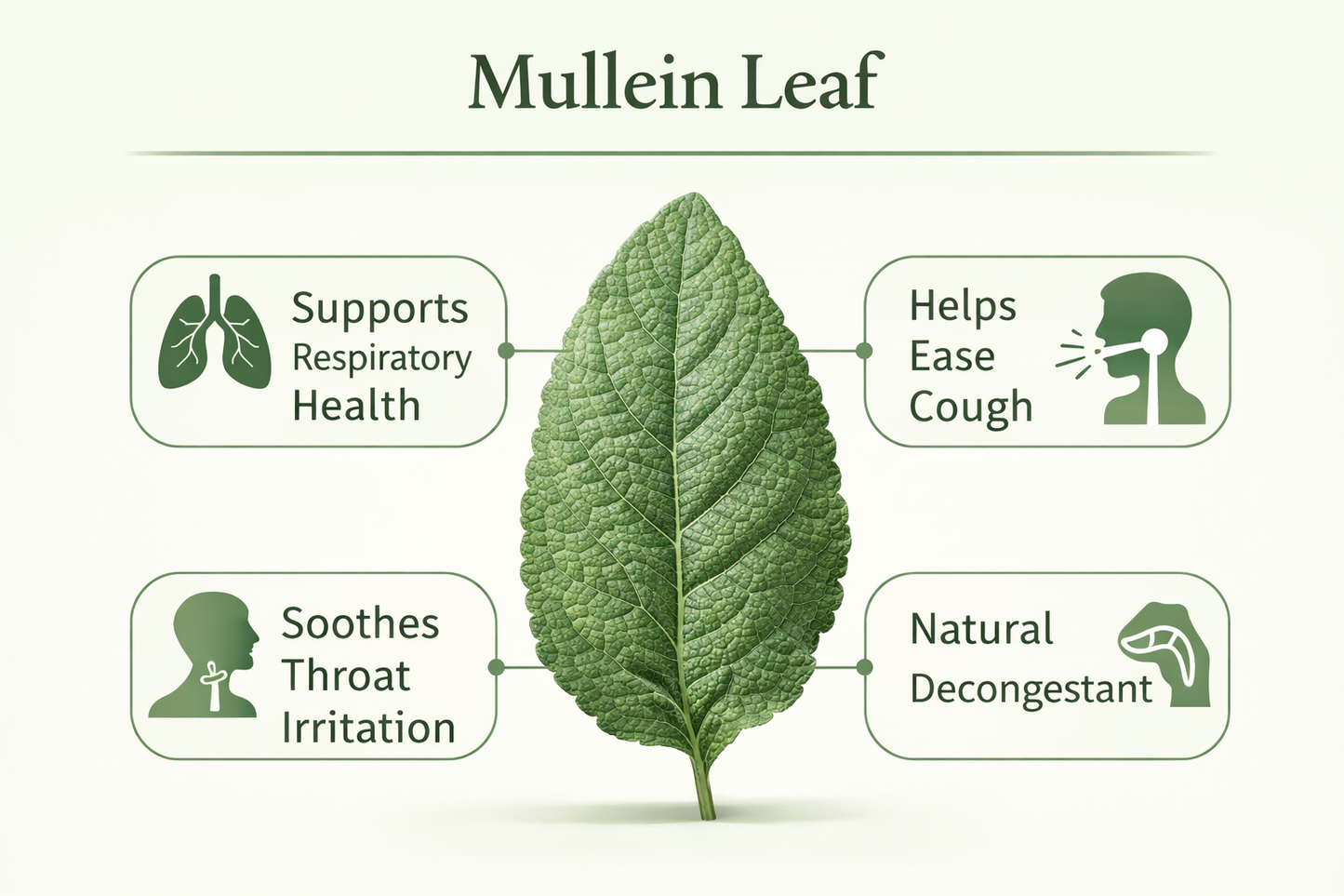 Mullein Leaf Herbal Tea