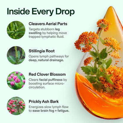 Lymvéro Lymphatic Drainage Drops
